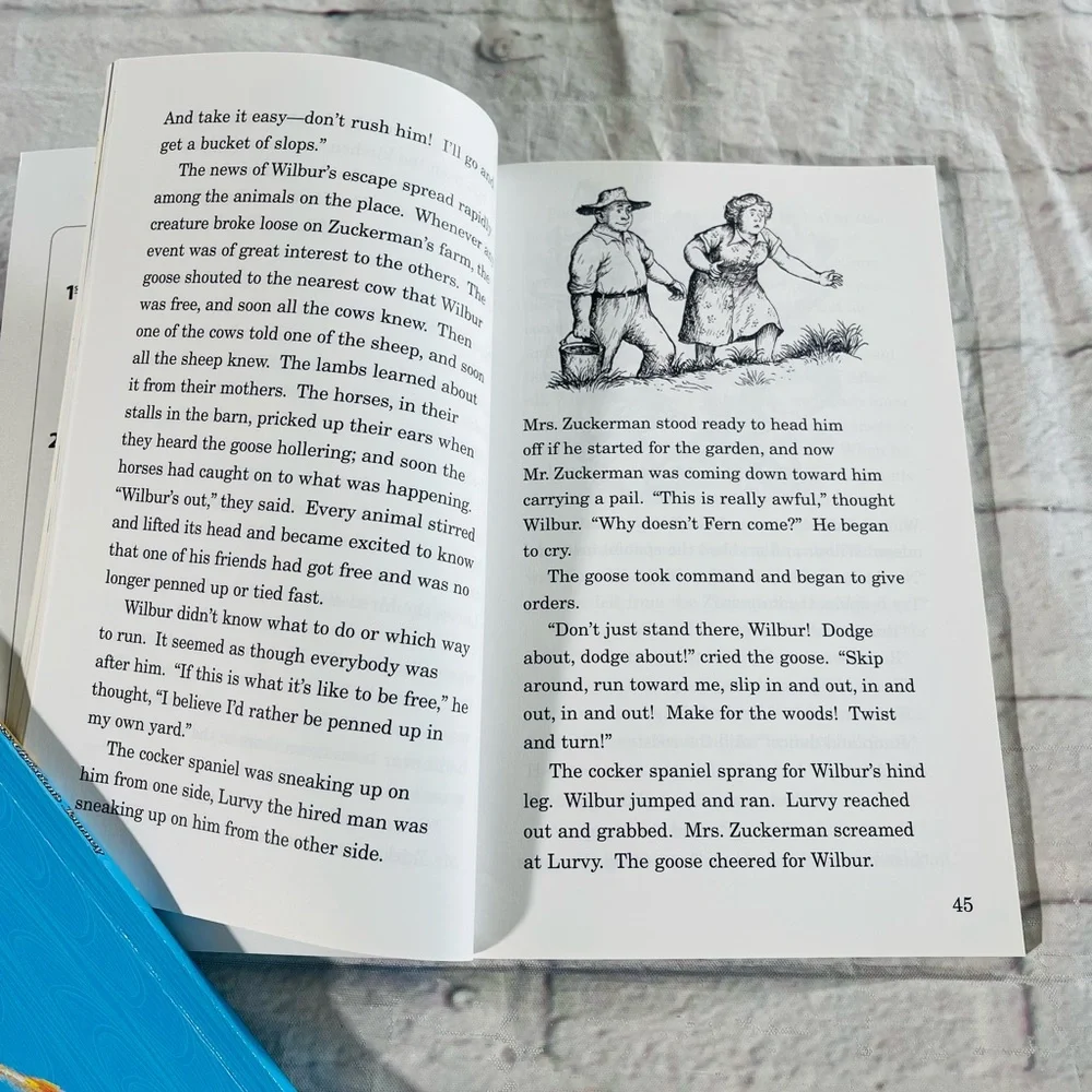 On The Bright Side 3I Reader Abeka 3rd Grade - Picture 5 of 11